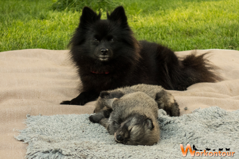 Oma Peppy - sie liebt ihre Enkelchen