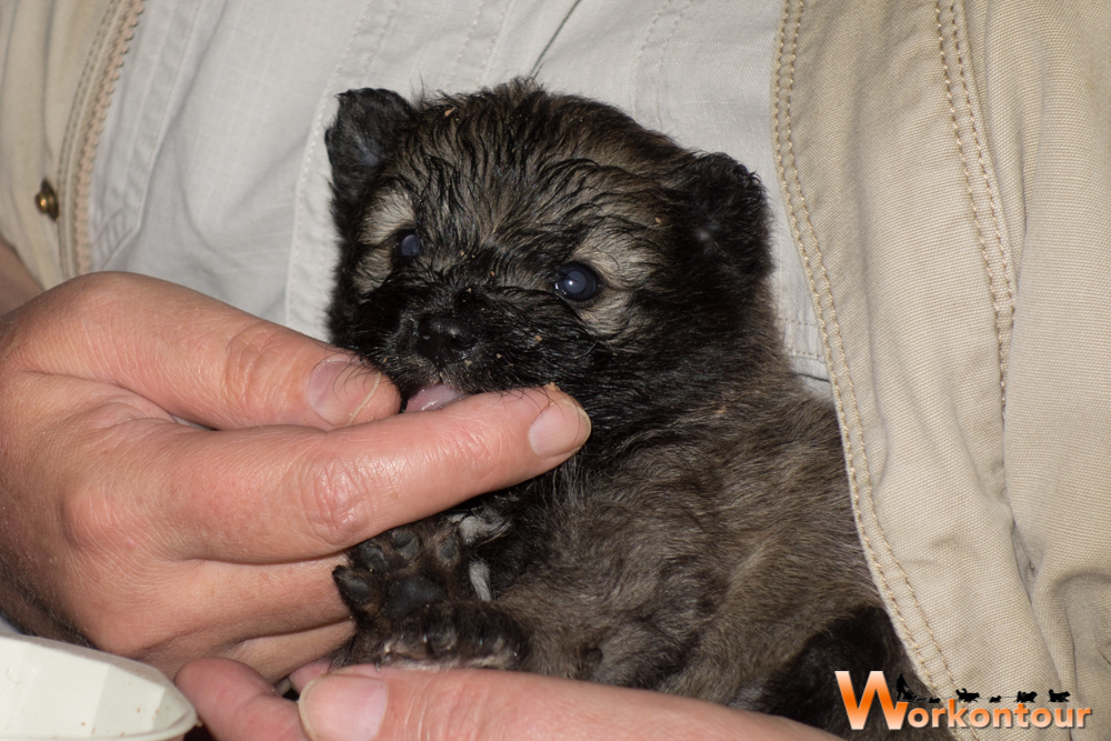 erste Fütterung hmmm