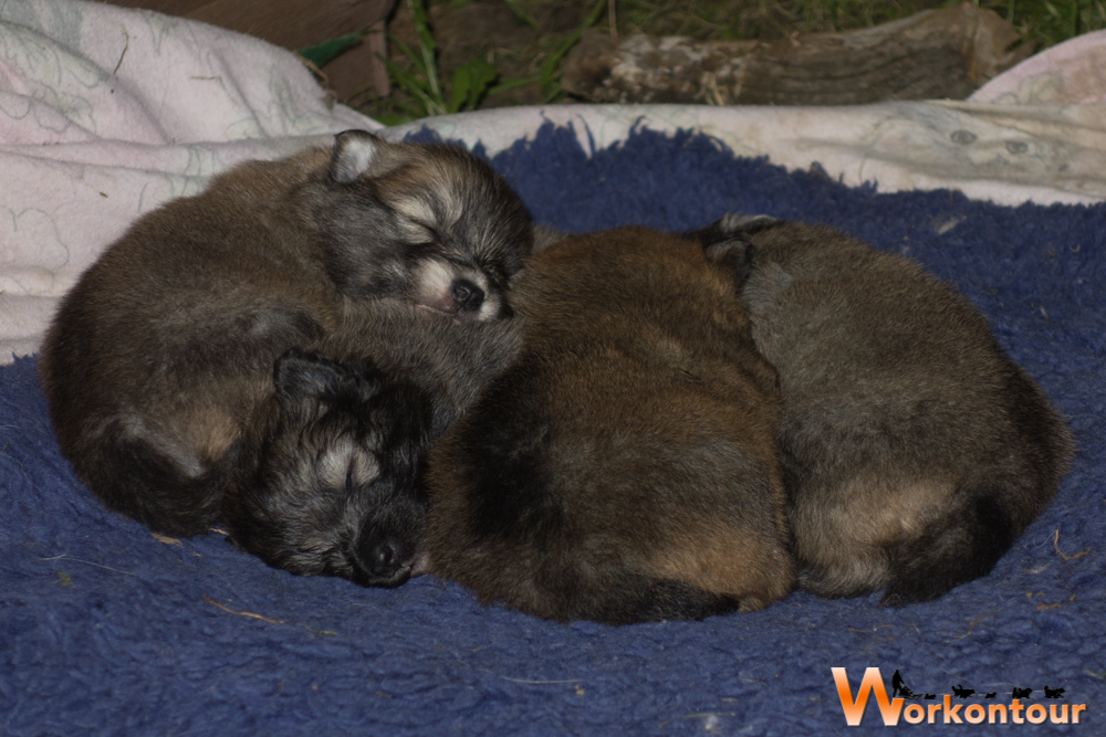 Kuschelschlaf ist gaaanz wichtig