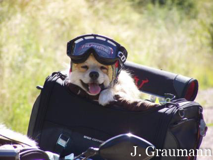 Djangos Leidenschaft - Motorrad fahren