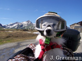 ebenfalls Motorrad Freak