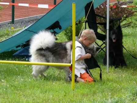 Angel wartet geduldig auf ihre Belohnung