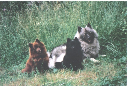 Bummelchen, Fritzi, Chaila