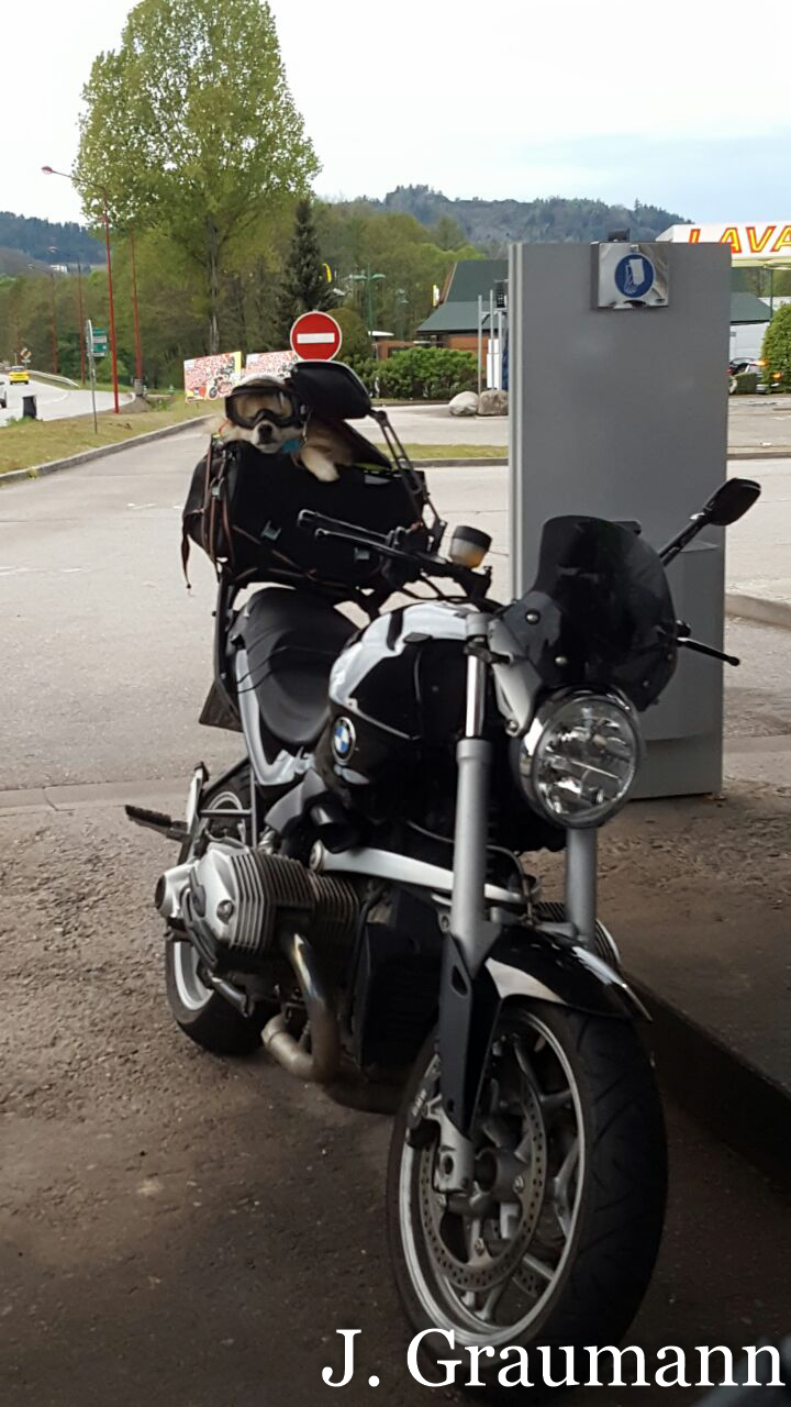 Der Vater von Django - auch ein Freak