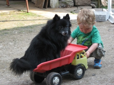 Jasper als geduldiger Spielgefährte Foto Lindner