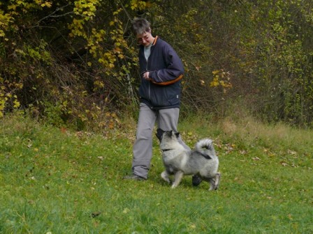 Pinu'u mit 12 Wochen - freudig und schnell lernt sie die Grundbegriffe
